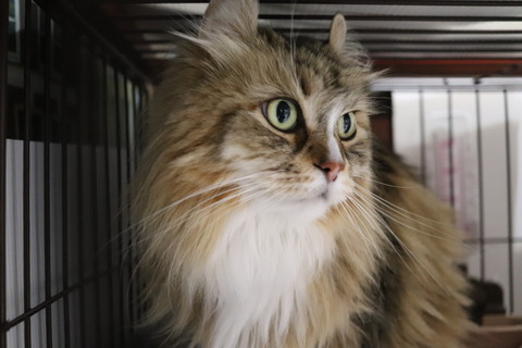 75CF0256-8BF2-4DA3-A891-824D4F577ABF