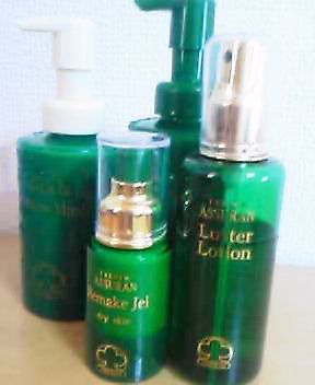 アシュランが届いた 気ままに東京生活