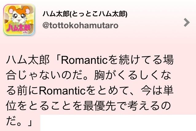 くしくしっへけっ とっとこハム太郎のツイートが面白すぎるのだ 東京ナイロンガールズ くしくしっへけっ とっとこハム太郎のツイートが面白すぎるのだ 東京ナイロンガールズ
