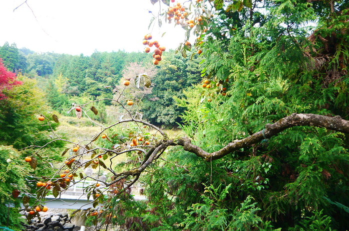 P1020999