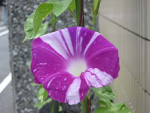 0426d5d2.jpg