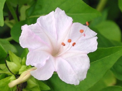 d643017a.jpg