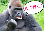 54d6f334ffe62d0979b9c9e022b03f3f_600