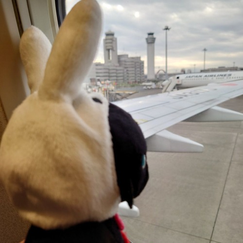 飛行機に搭乗