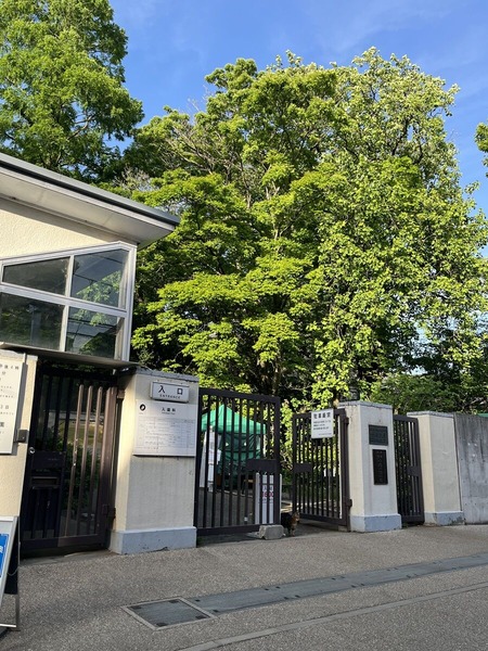 小石川植物園