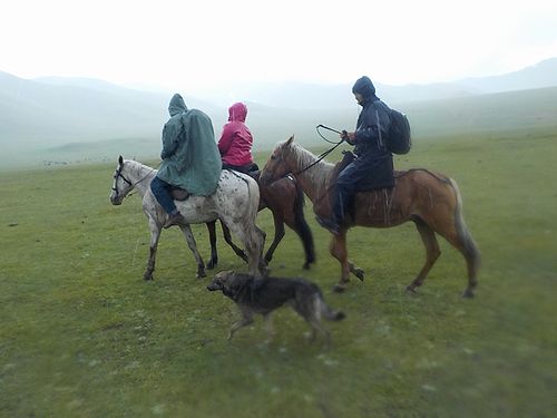 写真1_乗馬トレッキング.jpg