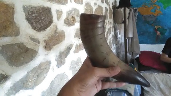 写真3_牛の角のグラス