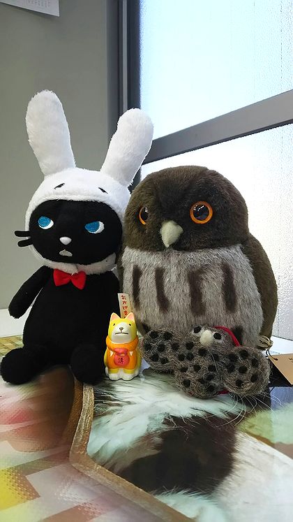 okageinu.jpg
