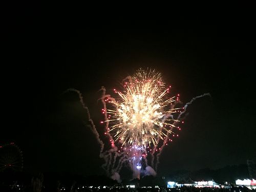 fes12.jpg