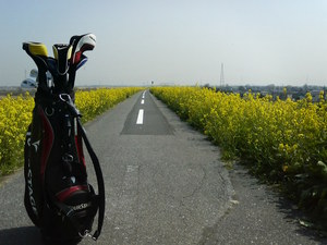 20090317edogawa
