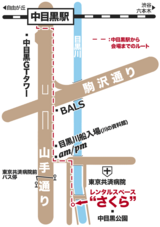 20100130-sciencecafe-sakuramap