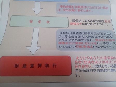 国民年金未納で特別催告状 東京やわらか