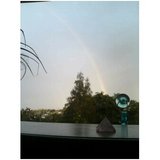 13091d60.jpg