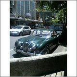 138e391d.jpg