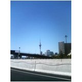 275634d0.jpg
