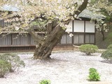 61f3e509.jpg