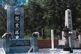 892cad77.jpg
