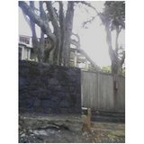 �����ץʹ�š