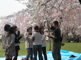 hanami group