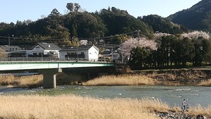 IMG_20220327_163722