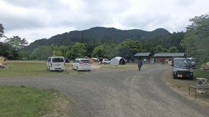 P5210041