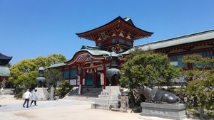 IMG_20220504_105157