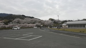 IMG_20220402_073743