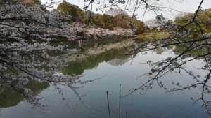 IMG_20220328_164649