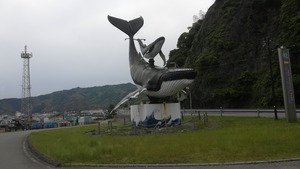IMG_20220515_125826