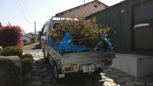 IMG_20220409_101934