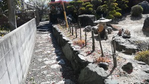 IMG_20220409_101919