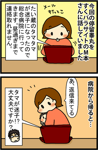 あぁ、トマコの生きる道【４コマ漫画】