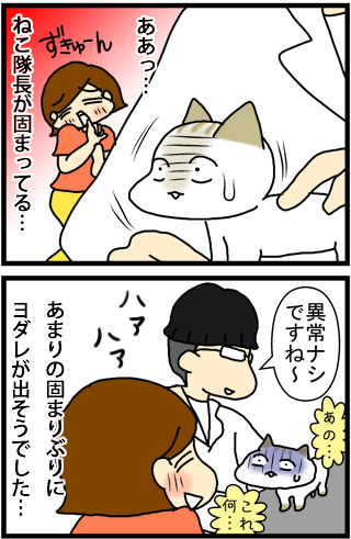 あぁ、トマコの生きる道【４コマ漫画】