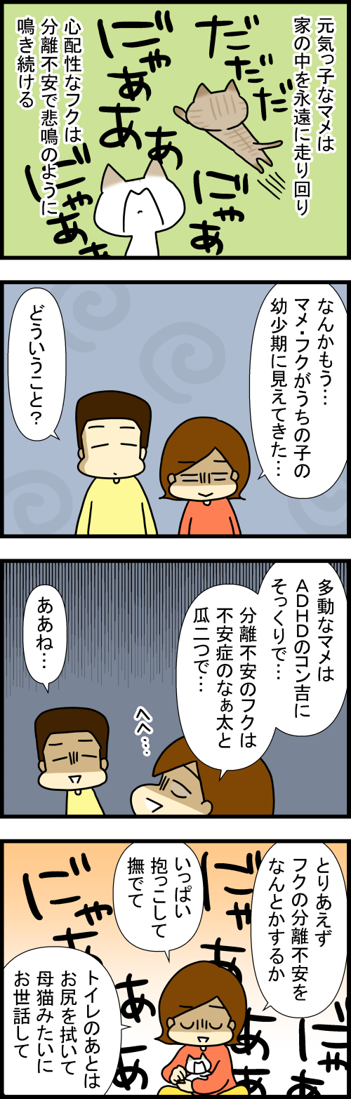260526-1