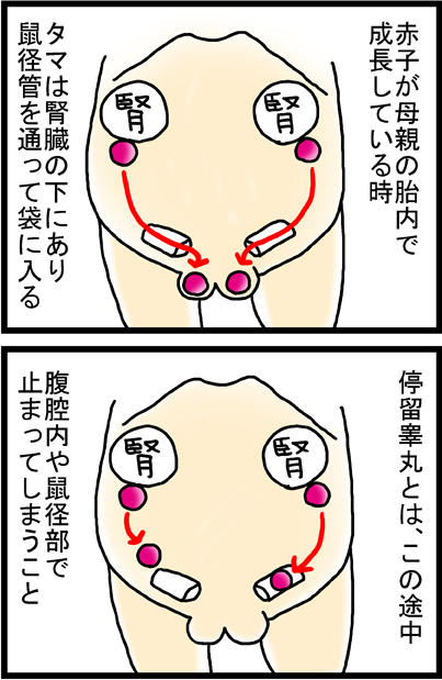 あぁ、トマコの生きる道【マンガ】