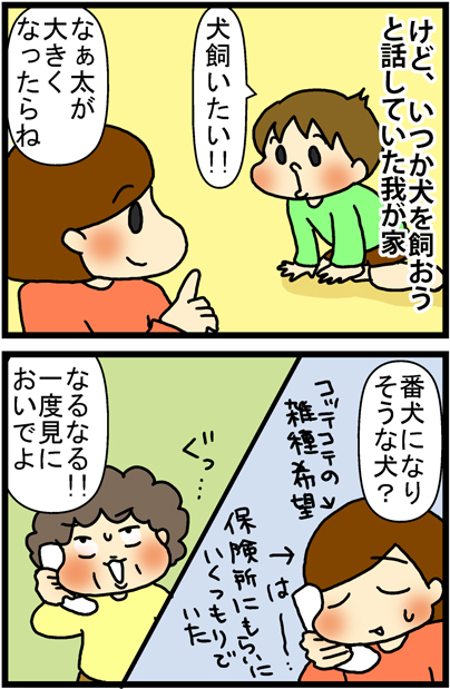あぁ、トマコの生きる道【４コマ漫画】