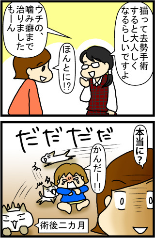 あぁ、トマコの生きる道【４コマ漫画】