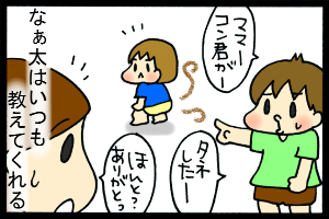 あぁ、トマコの生きる道【４コマ漫画】