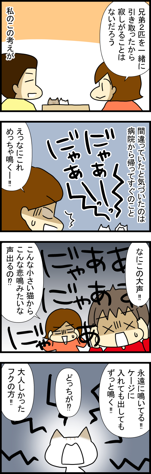 260525-1