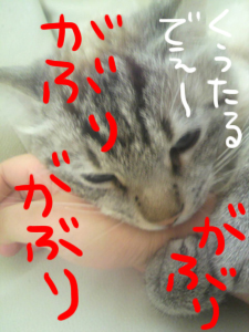あぁ、トマコの生きる道【マンガ】