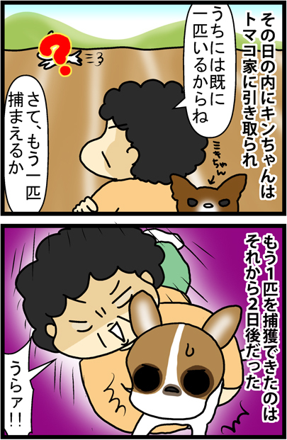 あぁ、トマコの生きる道【マンガ】