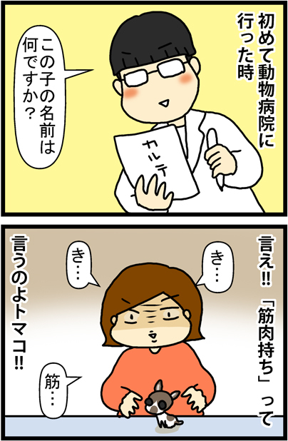 あぁ、トマコの生きる道【４コマ漫画】