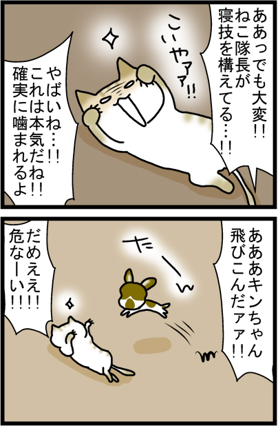 あぁ、トマコの生きる道【４コマ漫画】