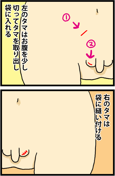 あぁ、トマコの生きる道【マンガ】