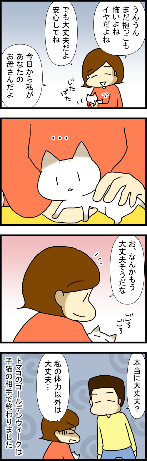 260526-2