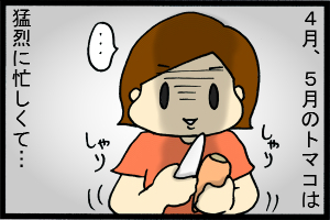 あぁ、トマコの生きる道【４コマ漫画】