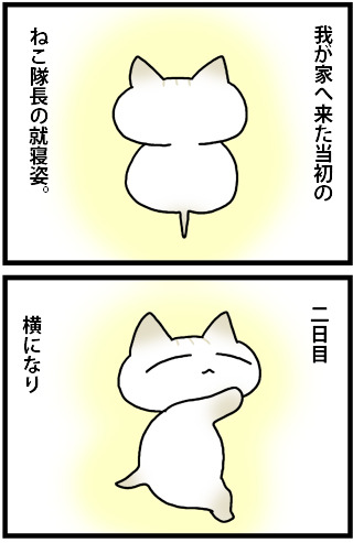 あぁ、トマコの生きる道【４コマ漫画】