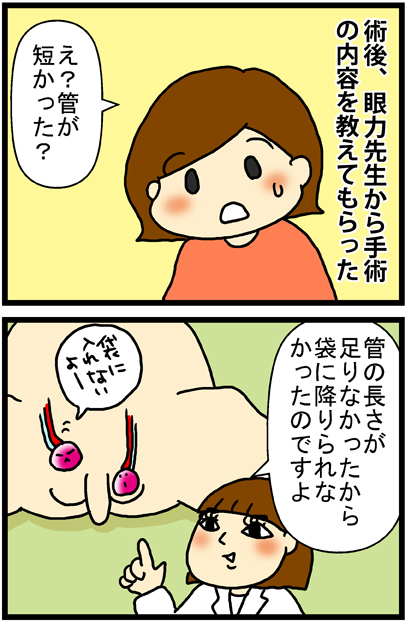 あぁ、トマコの生きる道【マンガ】