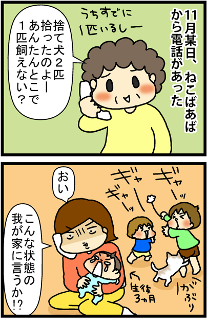 あぁ、トマコの生きる道【４コマ漫画】