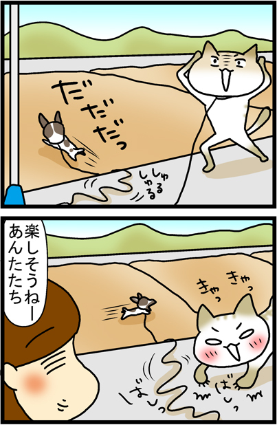 あぁ、トマコの生きる道【マンガ】